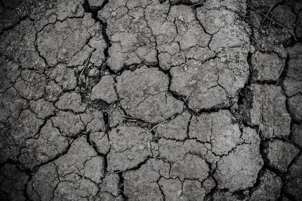 Cracked dry earth surface, illustrating drought conditions and soil degradation, relevant to discussions on climate change and environmental impact.