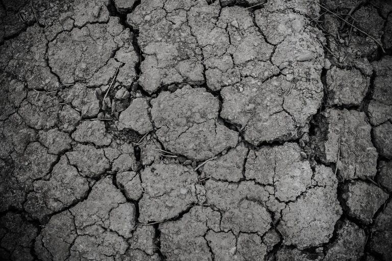 Cracked dry earth surface, illustrating drought conditions and soil degradation, relevant to discussions on climate change and environmental impact.