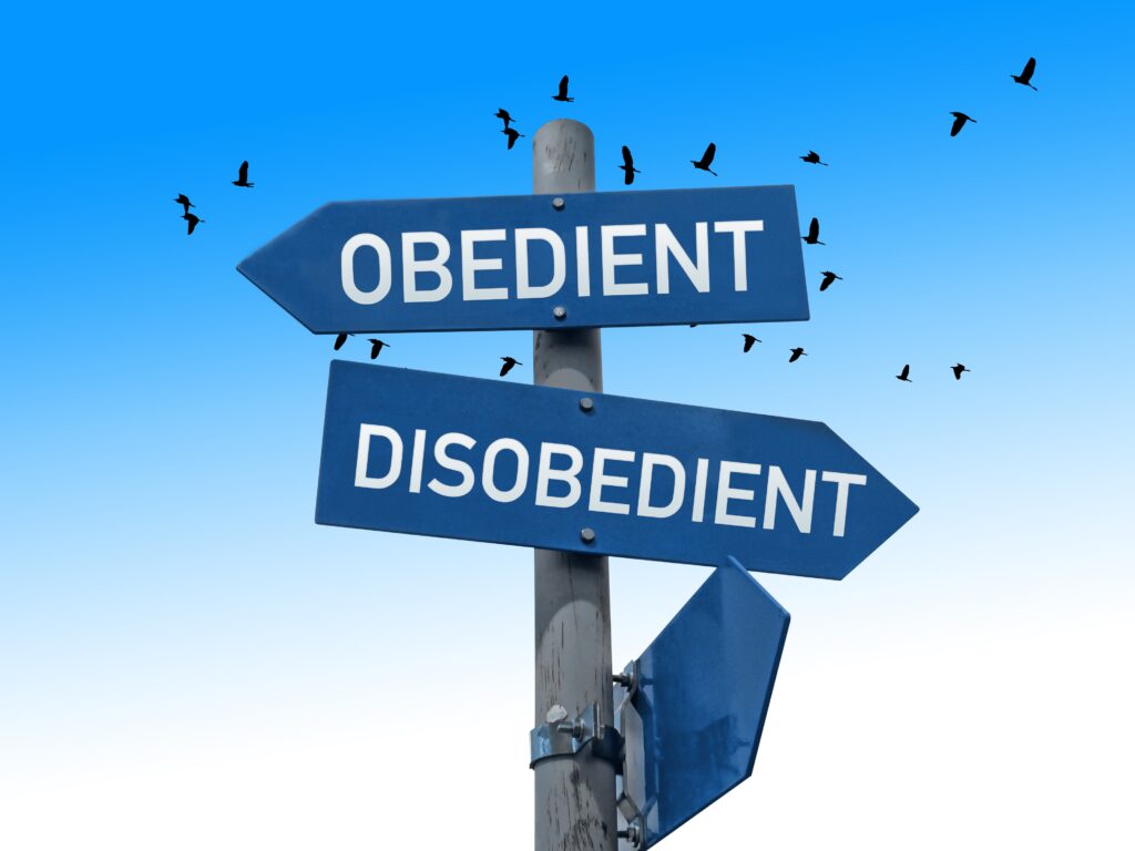 Directional signs labeled "Obedient" and "Disobedient" against a blue sky, symbolizing choices in behavior or attitudes. Relevant for discussions on conformity.