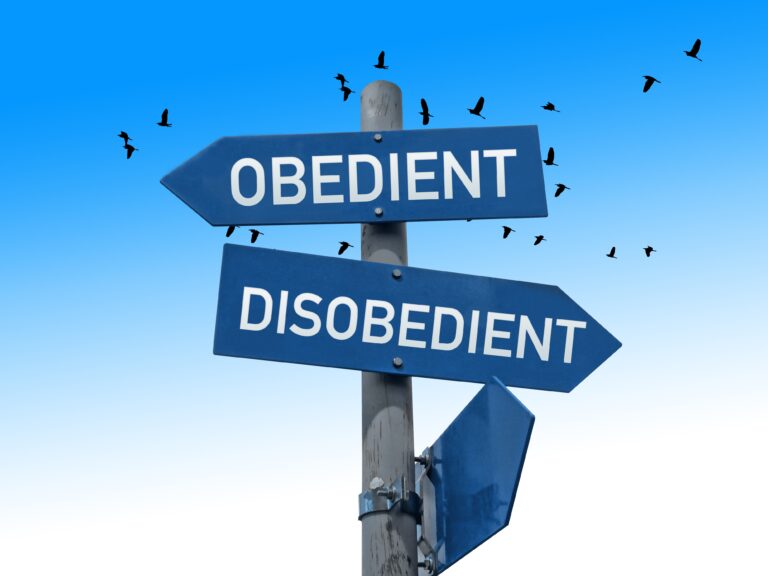 Directional signs labeled "Obedient" and "Disobedient" against a blue sky, symbolizing choices in behavior or attitudes. Relevant for discussions on conformity.