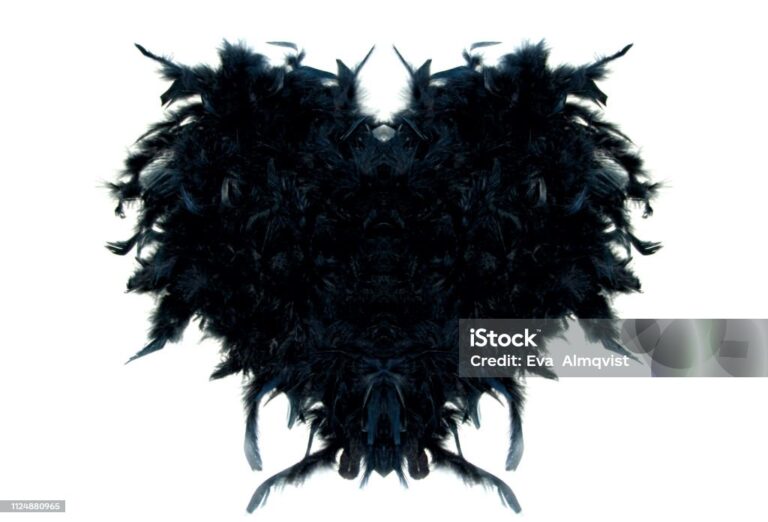 Hearth of feathers in black with textspace.