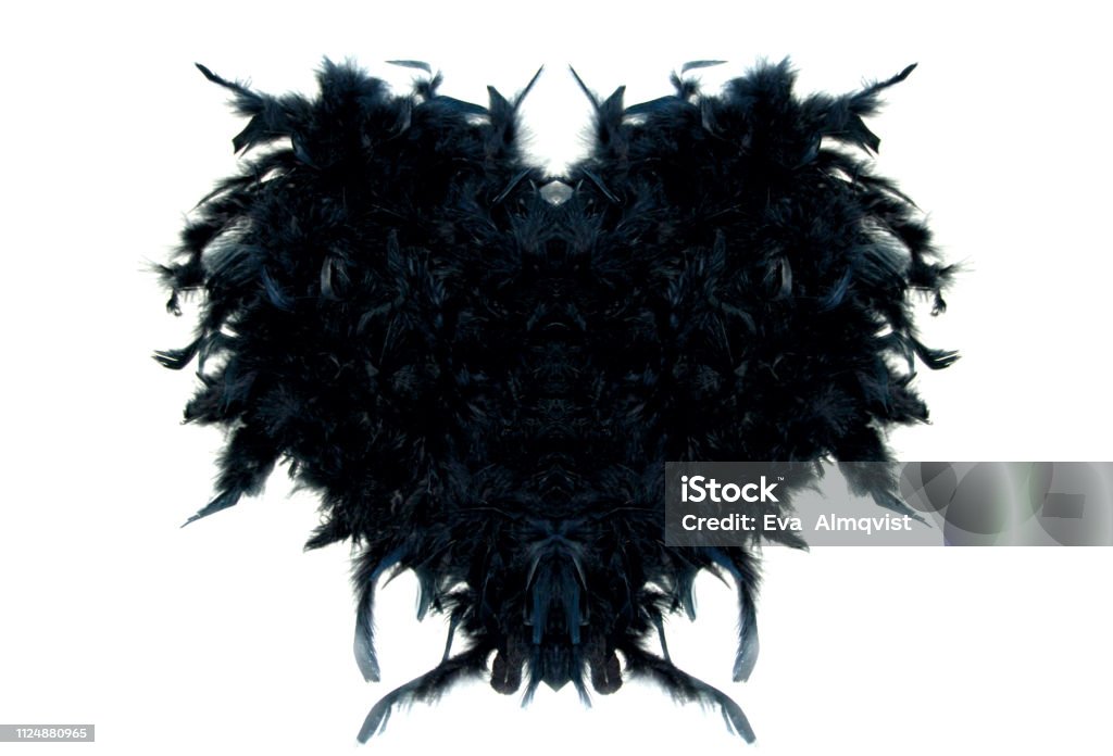 Hearth of feathers in black with textspace.
